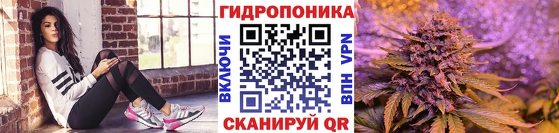 Бошки марихуана MAZAR  блэк спрут ССЫЛКА  Чкаловск 